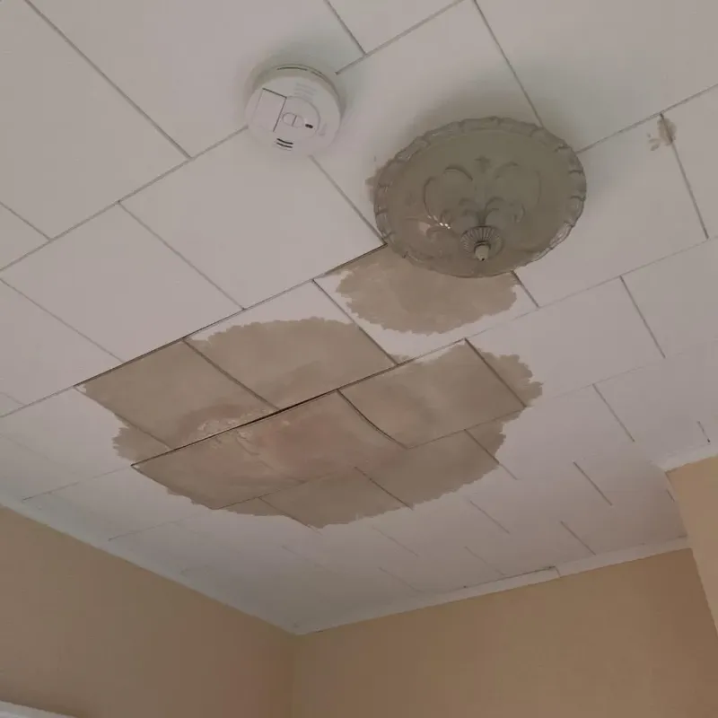 Ceiling Water Damage Repair in Chandler, OK