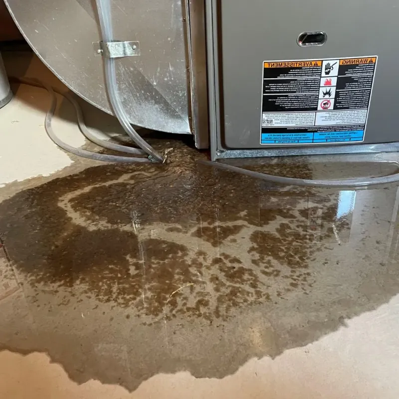 Pipe Burst and Leak Restoration in Chandler, OK