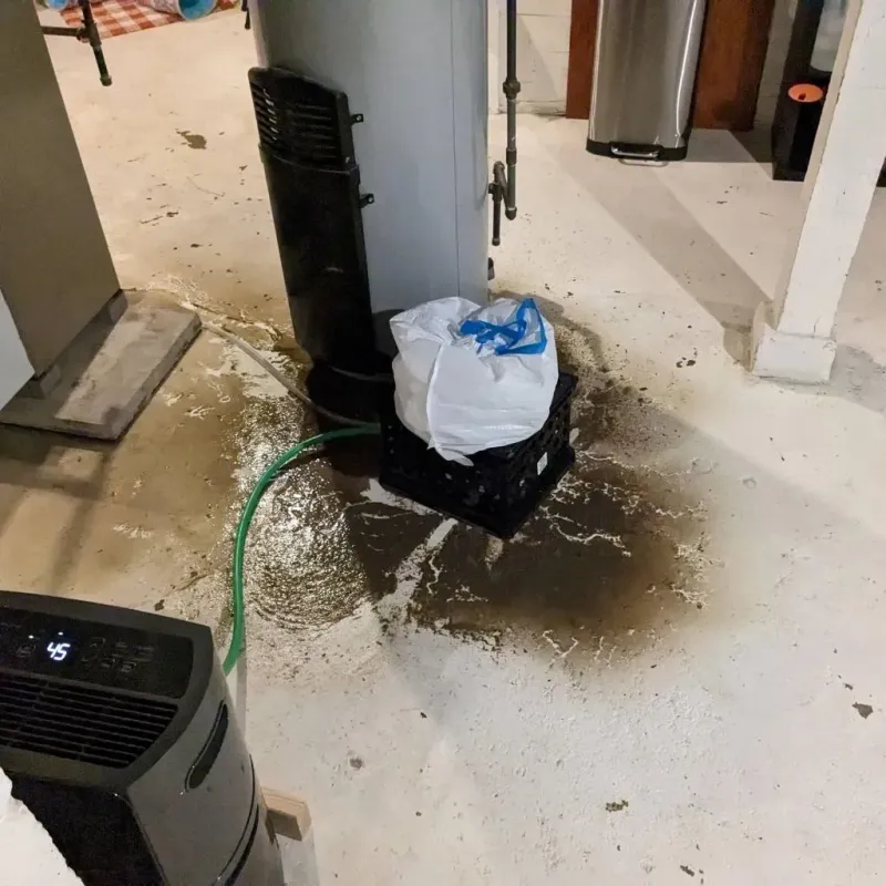 Sewage Backup Cleanup Service in Chandler, OK